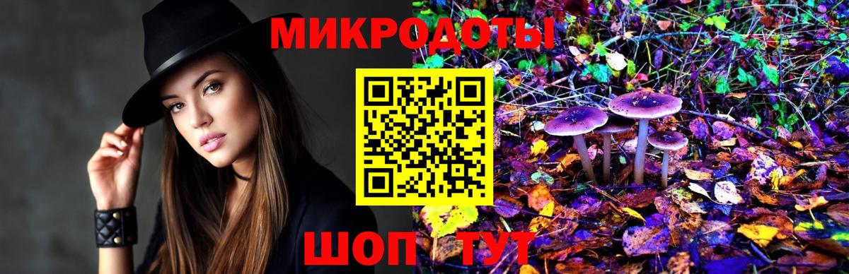 Псилоцибиновые грибы прущие грибы Алатырь